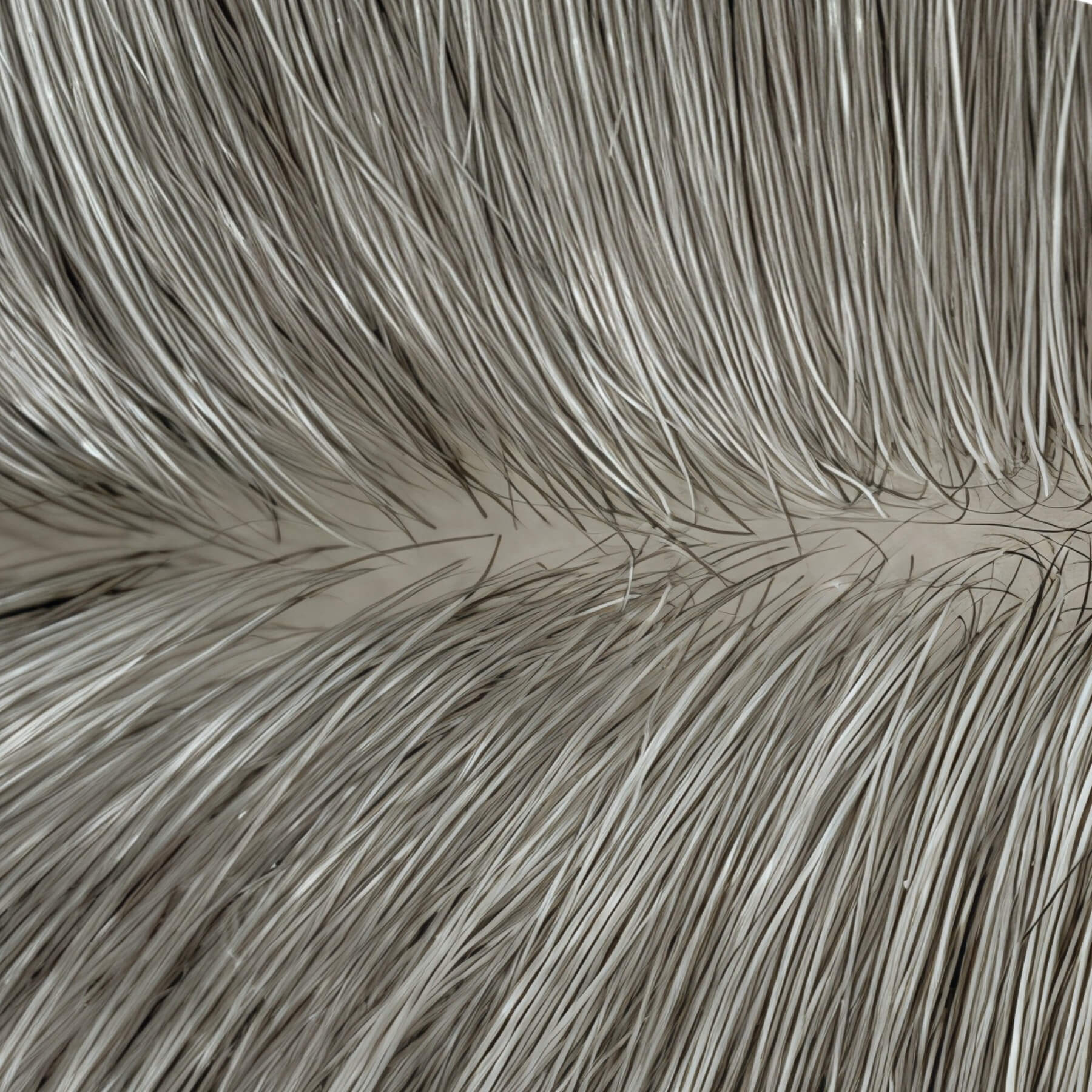 Hair_topperl_silk_base_5.5_6_ight_grey3