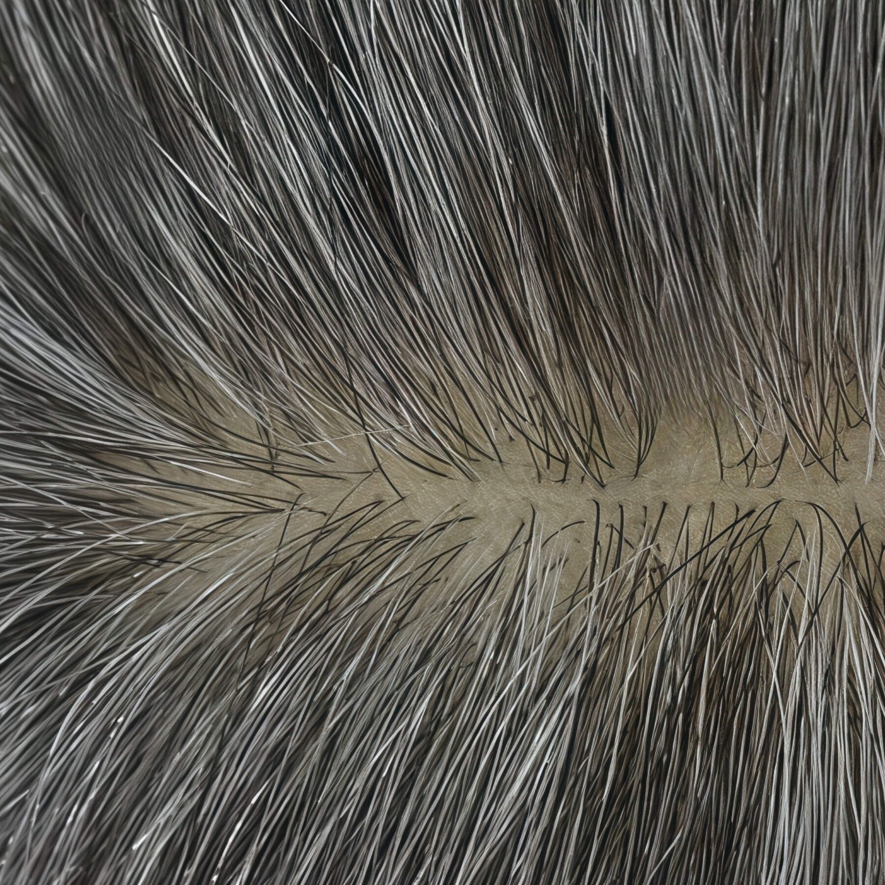 Hair_topperl_silk_base_5.5_6_medium_grey3