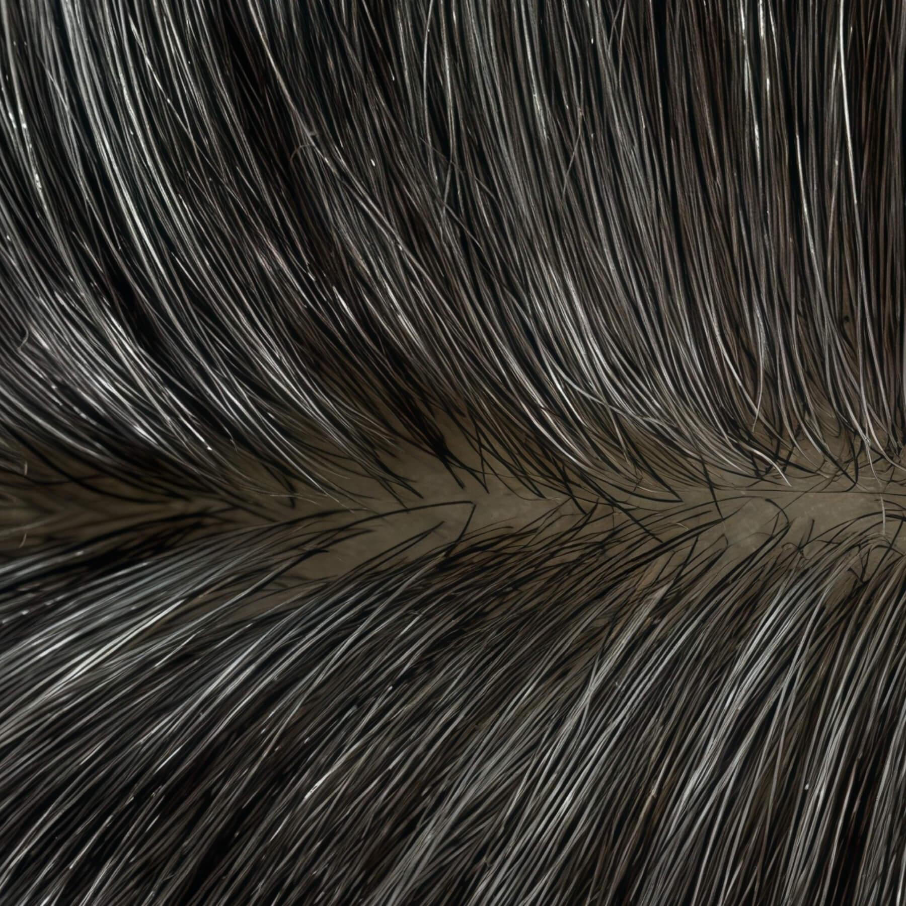 Hair_topperl_silk_base_5.5_6_dark_grey3