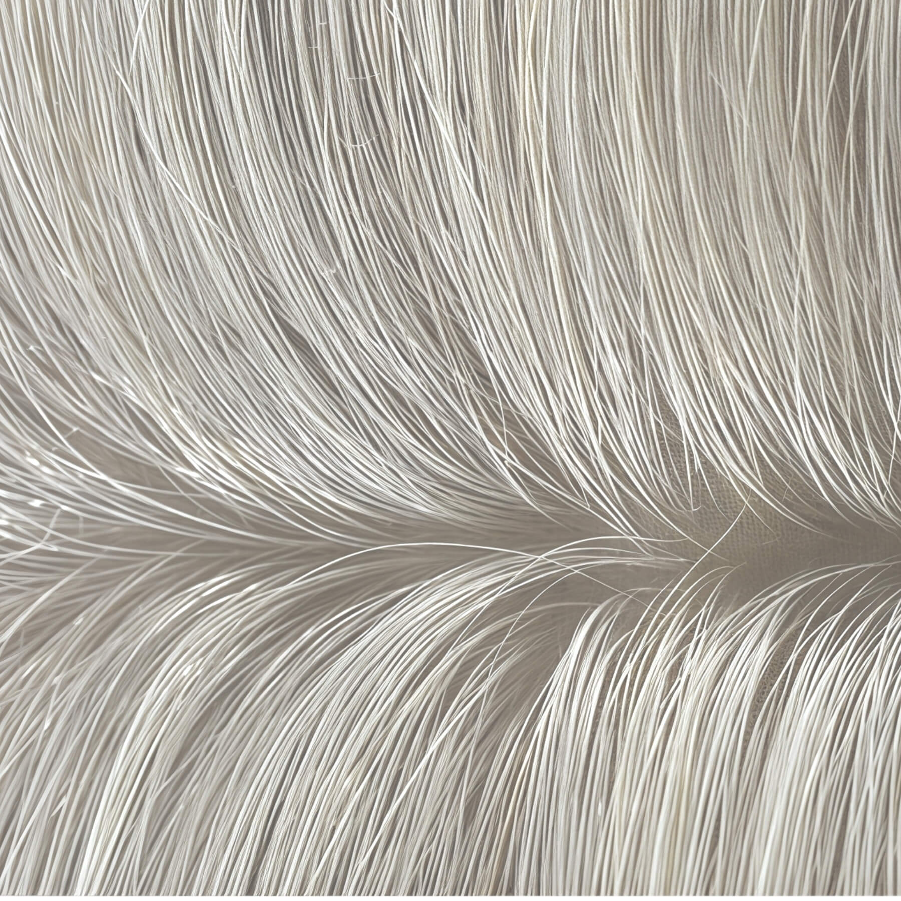 hair_topper_silk_base_5.5_6_inch_silver_white_3